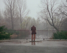 Shahid Saless Archive