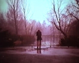 Shahid Saless Archive